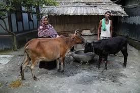 কৃষি ও সামাজিক কার্যক্রমে ব্র্যাকের ৫৩ কোটি টাকার বিশেষ কর্মসূচি ঘোষণা |  চ্যানেল আই অনলাইন