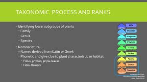 One species has the largest flowers in the world. The Identification And Nomenclature Of Plants Iafnr Plant And Soil Sciences Module Ppt Download