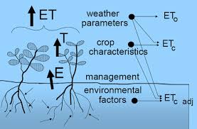 التبخر الزراعي Evapotranspiration Et