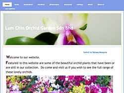 Orchid life sdn bhd, shah alam, malaysia. Phalaenopsis Orchidwire Listings