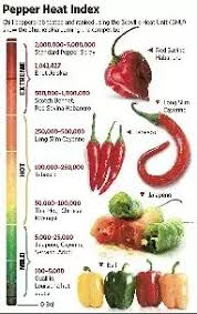 Which One Is The Hottest Chilli Pepper Or Wasabi Quora