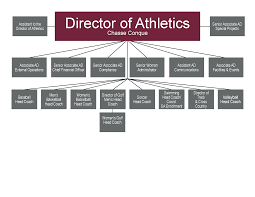 what is an organizational chart lamasa jasonkellyphoto co