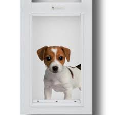 sydney pet doors auswide pet doors pet door installation pet doors cat door