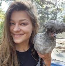 How to introduce new chicks to a broody hen?