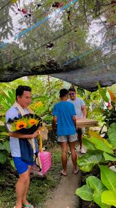 Wow perfect to ang laki Magkano kaya🫰