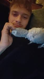 Let's welcome our new members! Feel free to ask questions, and sometimes  take feedback with a 'grain of salt'. Please adhere to the group rules and  enjoy the interaction with other members. *