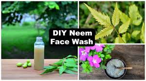 This face mask effectively lightens the acne scars and treats blemishes as well. Diy Purifying Neem Face Wash That Removes Pimples Lightens Acne Scars Dark Spots Youtube