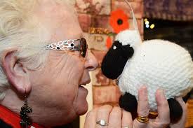 Sheppard's flock knits hundreds of sheep for school pupils