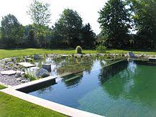 Most of the intention, a swimming pool is for recreational purpose or. Garden Pond Wikipedia