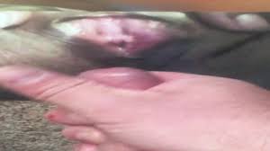 Tribute to Cum4u 2 
