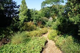 Botanischer Garten Duissern Wikipedia