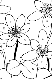 Alphabet colouring page for adults, colouring page for digital download, letter m print, monogram designer letters, gift idea for women. Print A Beautiful Flower Coloring Page Hepatica