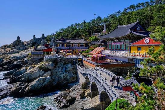 Flights to South Korea | LOT.com
