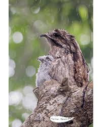 Fernando Rosado (@ospreytoursmexico) • Instagram photos and videos