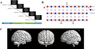 Image result for Verbal Fluency Test