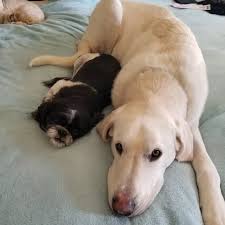 Deb Schroeder (@misdeb) • Threads, Say more