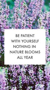 Discover and share life quotes wallpaper for mobile. Be Patient With Yourself Nothing In Nature Blooms All Year Cute Flower Lavender Quote Inspi Lavender Quotes Wallpaper Iphone Quotes Inspirational Backgrounds
