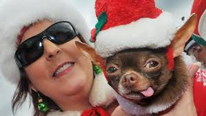 Best photos of 2014: Craig Rubadoux