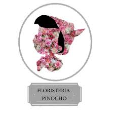 Floristería Pinocho