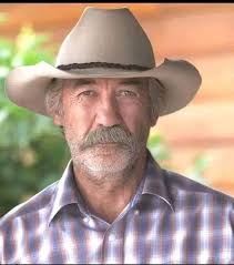 Should Heartland continue with seasons 19 and 20?