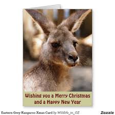 Eastern Grey Kangaroo Xmas Card Zazzle Com Eastern Grey Kangaroo Xmas Cards Kangaroo