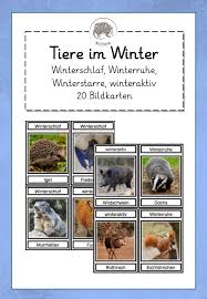 Bildkarten Mit Fotos Tiere Im Winter Strategien Unterrichtsmaterial In Den Fachern Biologie Fachubergreifendes Sachunterricht Bildkarten Tiere Winterstarre