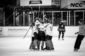 Örebro hockey ungdom team 01 jrm skates & skills 2015. Orebro Hockey Ungdom Videos Facebook