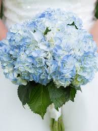We did not find results for: The 15 Prettiest Hydrangeas Bouquets We Ve Ever Seen