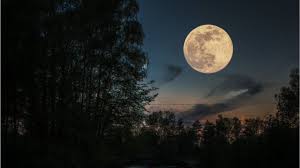 Der vollmond kommt der erde sehr nahe. Das Sind Die Schonsten Bilder Des Supermondes Nurnberger Blatt