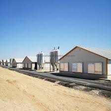 Get exterior design ideas for your modern house elevation with our 50 unique modern house facades. China 20000 Chickens Pre Engineered Low Cost Steel Structure Chicken House Poultry Shed For Layer And Broiler China Chicken House Broiler House
