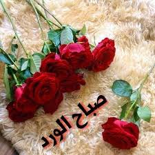 صباح الخير على الجميع صورة من تصويري تعارف تطوان الدارالبيضاء مطار كراء السيارات سياره ايجار الجديده Good Night Beautiful Instagram Posts Red Roses