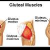 After sitting for a long time, the gluteal muscles (glutes) in your buttocks can feel numb or even a little sore. 1