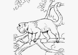 Download this adorable dog printable to delight your child. Free Coloring Pages And Coloring Books For Kids Howler Monkey Coloring Pages