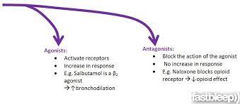 Introduction To Pharmacodynamics Prescribing Fastbleep Medical Notes Pharmacology Nursing Nursing Notes