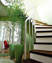 28 Green And Brown Decoration Ideas Bamboo House Plant Tall Indoor Plants House Plants Indoor
