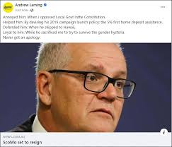 Opinions will be divided