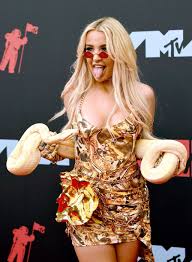 Image result for britney spears python