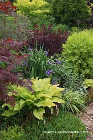 Garden Bloggers Bloom Day June 2015 Plants Garden Shrubs Shade Plants