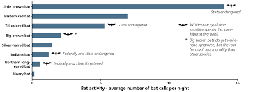 Bat Population Monitoring At Booker T Washington National