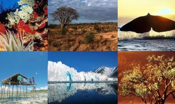 Resultado de imagen para diversidad del espacio geografico