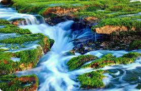 Mata air berwarna domain publik vektor. Taiwan Tourism