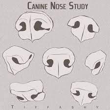 A complete guide to drawing noses. 17 Draw Animal Noses Ideas Animal Noses Animal Drawings Dog Nose
