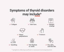 Image result for Thyroid Function Test