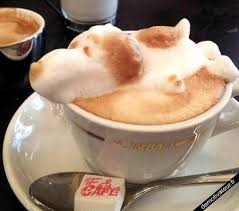 Cofee Art Recette Du Cafe Au Lait Cafe Au Lait Art Culinaire