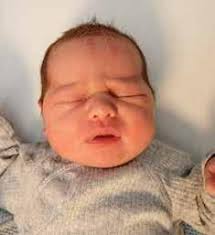 Mornington News 26th November 2024 by Mornington Peninsula News Group