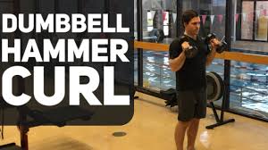 The dumbbell hammer curl increases strength and size in the biceps and forearms. Dumbbell Hammer Curls Bicep Curl Alternative Youtube Hammer Curls Full Body Dumbbell Workout Biceps