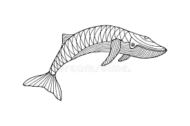 Some blue whale coloring may be available for free. Blue Whale Coloring Stock Illustrations 361 Blue Whale Coloring Stock Illustrations Vectors Clipart Dreamstime