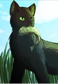 Reedwhisker Of Riverclan Let Me Just Say Reedwhisker Is A Wonderful Warrior He Is So Brave And Strong And He Runs As Fast A La Guerre Des Clans Lgdc Guerre