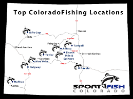 Mcphee Reservoir Fishing Guide Mcphee Fishing Charters Mesa Verde