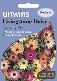 Check spelling or type a new query. Livingstone Daisy Tapestry Mix